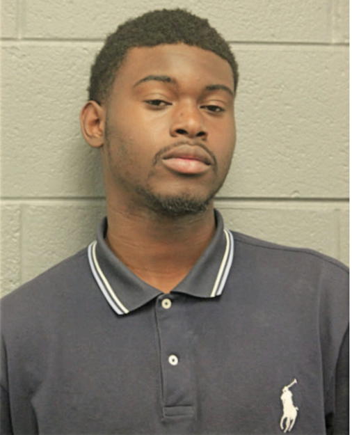 ANDRE J STEPHENS, Cook County, Illinois