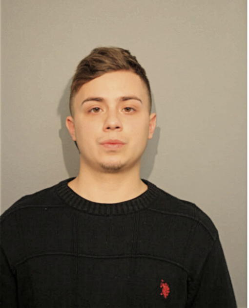 MELVIN R TORRES, Cook County, Illinois