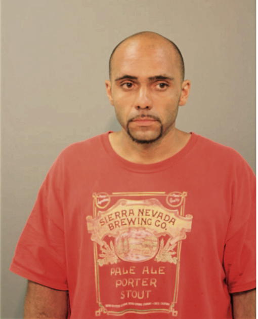 LUIS A VEGA JR, Cook County, Illinois