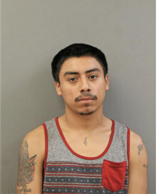 NOE VENCES, Cook County, Illinois