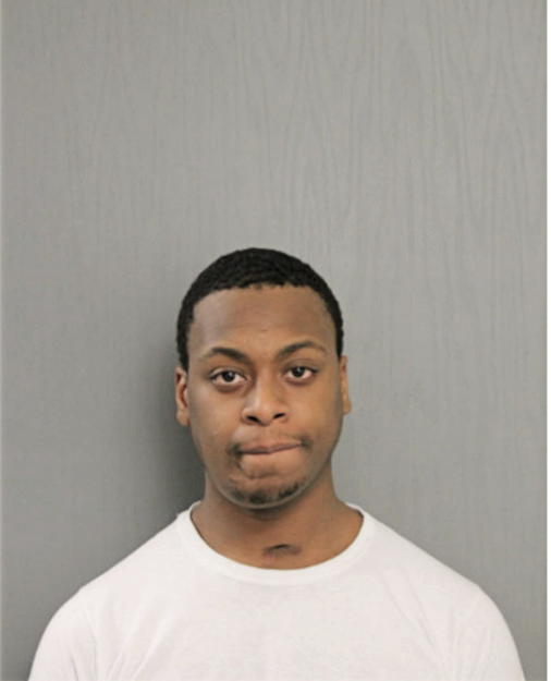 JALEN L WATKINS, Cook County, Illinois