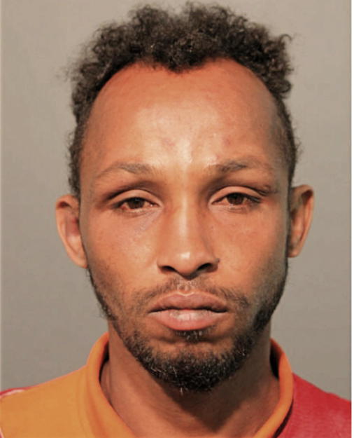 SAID A ABDI, Cook County, Illinois