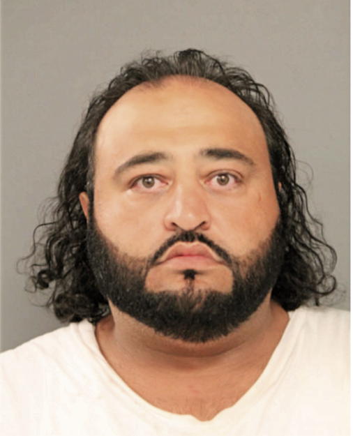 ADEL M ATIEH, Cook County, Illinois