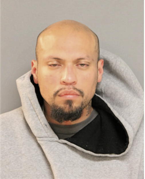 ARMANDO A AVALOS, Cook County, Illinois