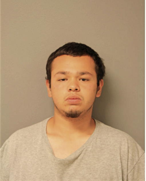 RICK A CARLOS, Cook County, Illinois