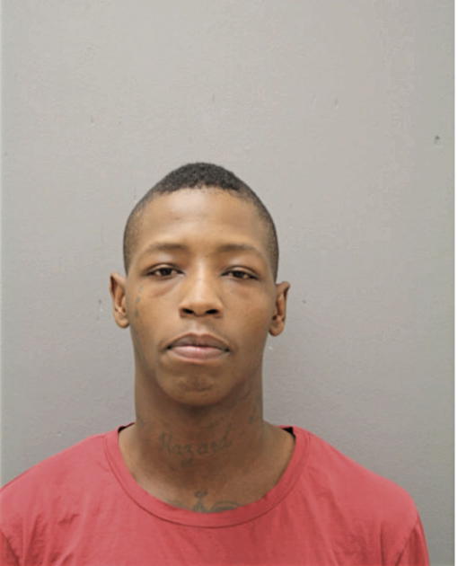 LEONARD N GORDON, Cook County, Illinois