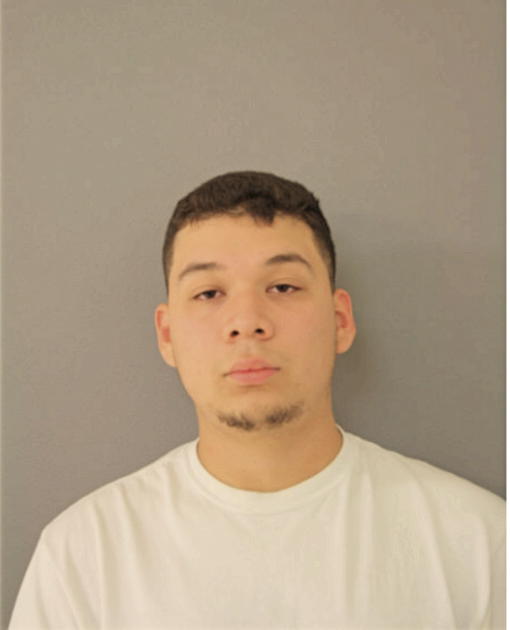 REYES K GUZMAN, Cook County, Illinois