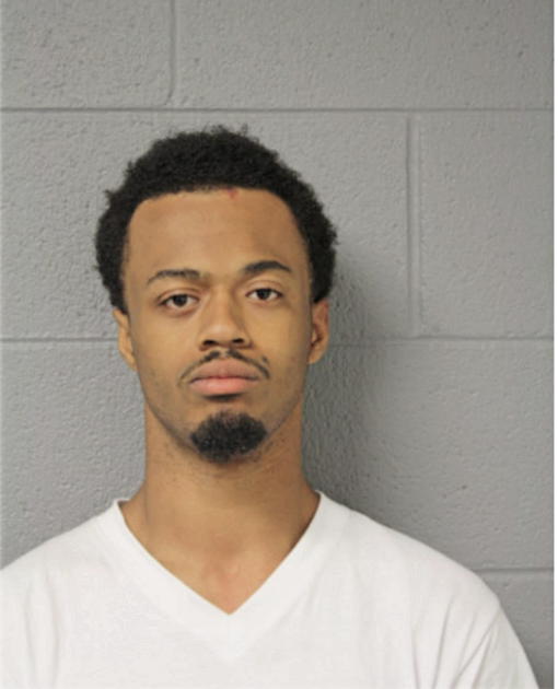JOHN H HENDERSON, Cook County, Illinois