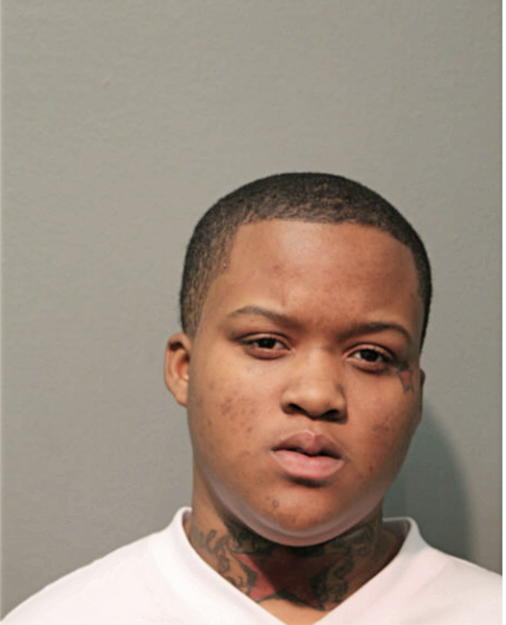 ANAYA M JACKSON, Cook County, Illinois