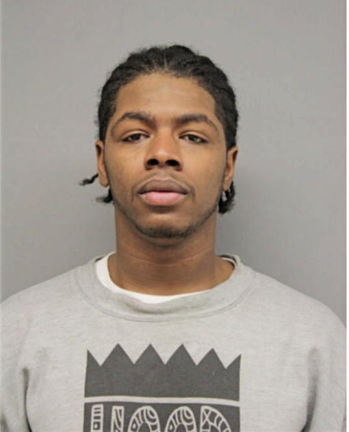 DARELL H JOHNSON, Cook County, Illinois