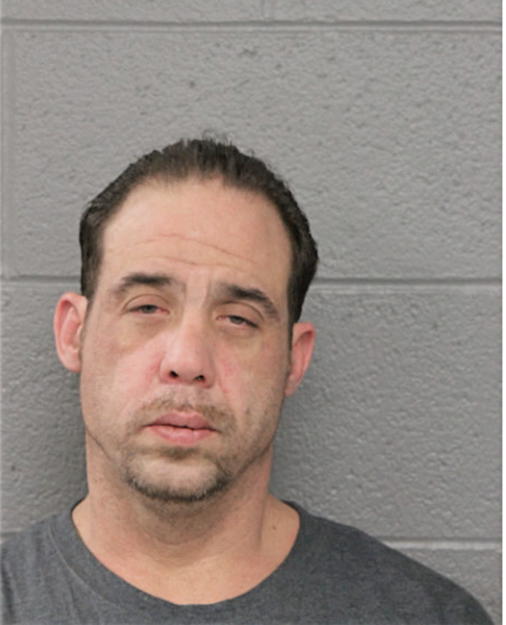 NATHAN W LERNER, Cook County, Illinois