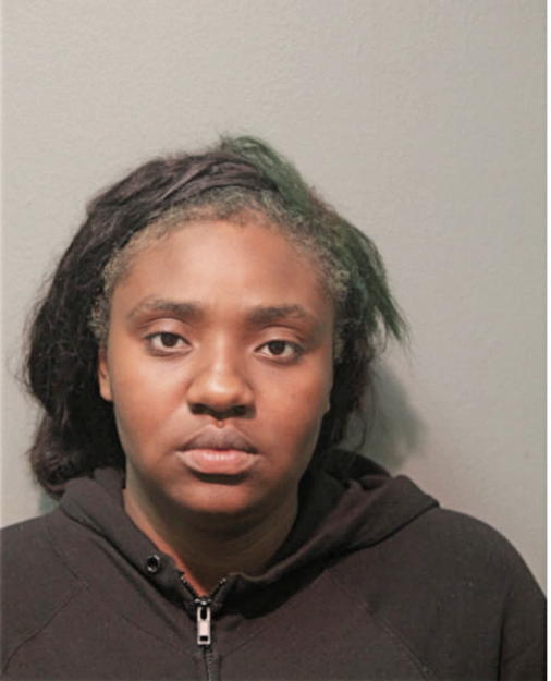 JSHREE S LOWERY, Cook County, Illinois