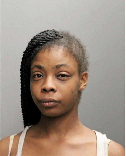 SARAH R LYLE, Cook County, Illinois