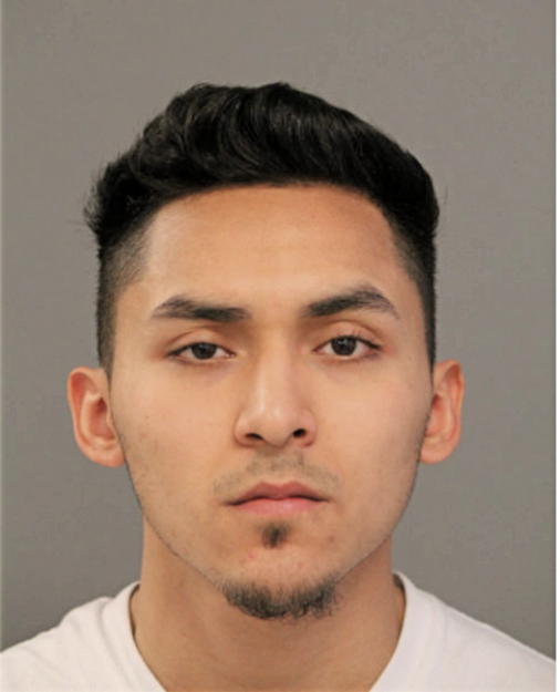 IVAN MENA, Cook County, Illinois