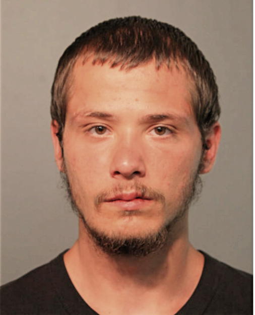 TERRY LEE MIKKELSON, Cook County, Illinois
