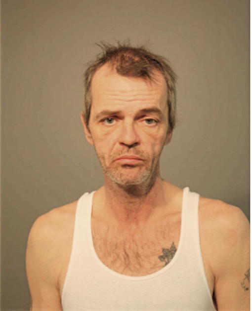 STEVEN W MILLER, Cook County, Illinois