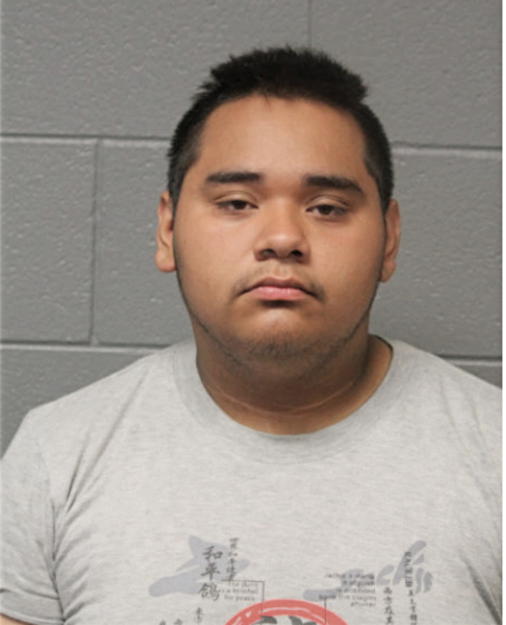 AUERLIO MOLINA, Cook County, Illinois