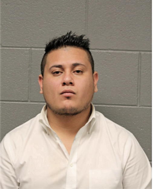 JUAN CARLOS PALACIOS, Cook County, Illinois
