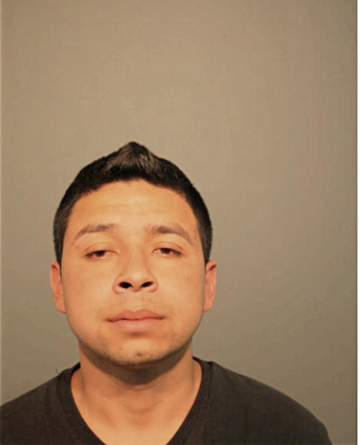 JULIO PEREZ, Cook County, Illinois