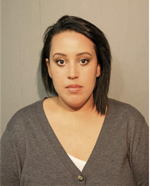 NICOLE E RIVERA, Cook County, Illinois