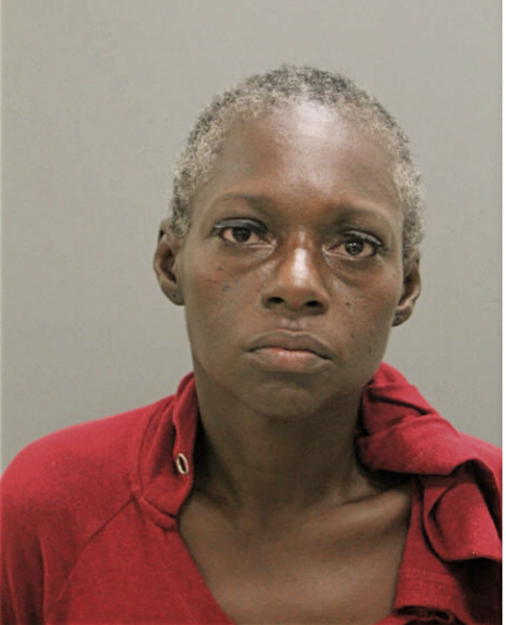 KAREN E ROBINSON, Cook County, Illinois