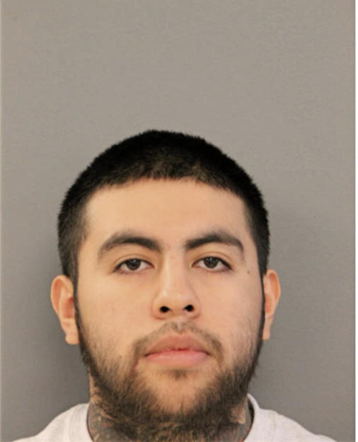 ELIAS ROMAN, Cook County, Illinois