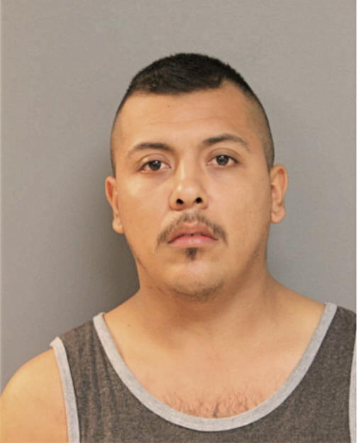 LUIS FELIPE ROMAN-HERNANDEZ, Cook County, Illinois