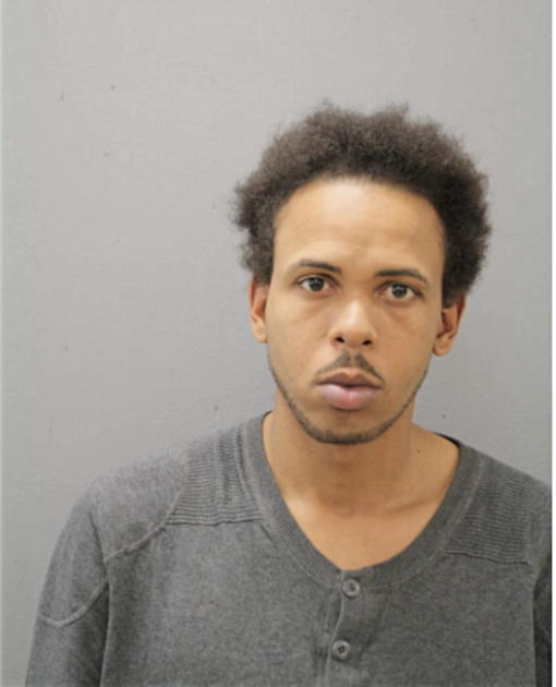 MICHAEL L SCOTT, Cook County, Illinois