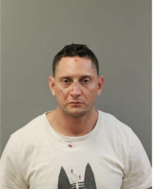 NELSON SOLORZANO, Cook County, Illinois