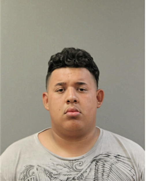 FRANCISCO J VARGAS, Cook County, Illinois