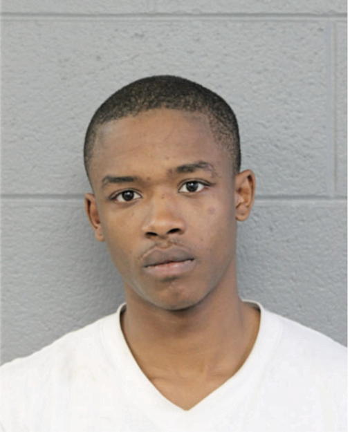 CARL J WILLIAMS, Cook County, Illinois