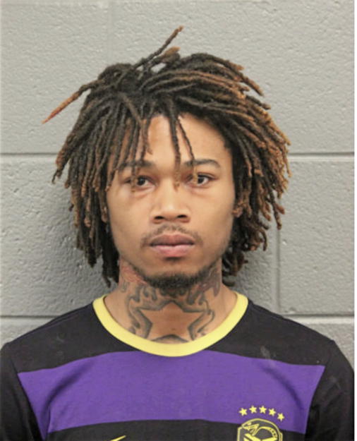CRAIG L ALSTON, Cook County, Illinois