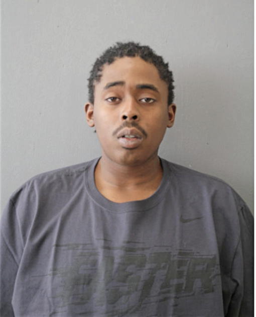KENNETH L ANDERSON, Cook County, Illinois