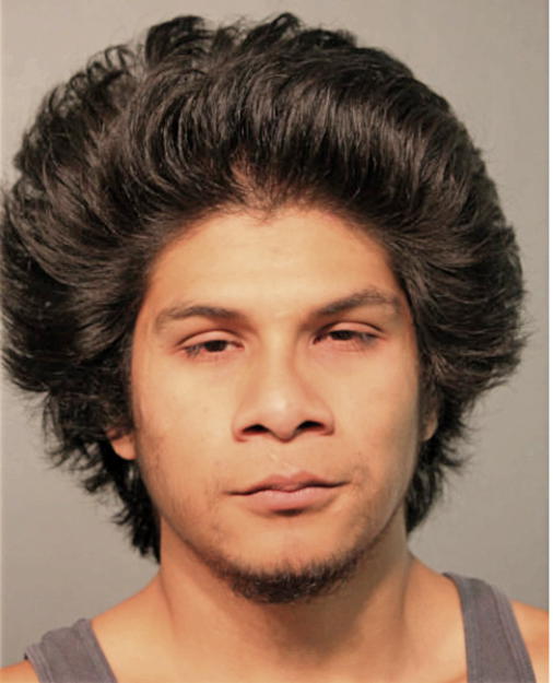 ERIC BAHENA, Cook County, Illinois