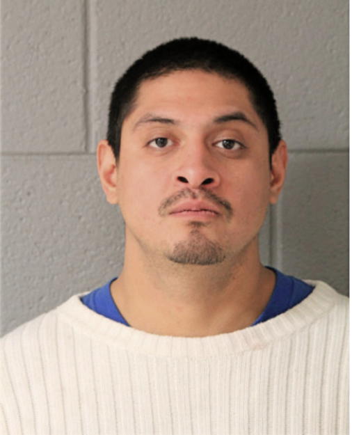 RICARDO BAHENA, Cook County, Illinois