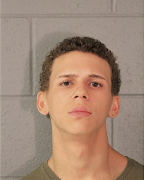 TRENT T BROWN, Cook County, Illinois
