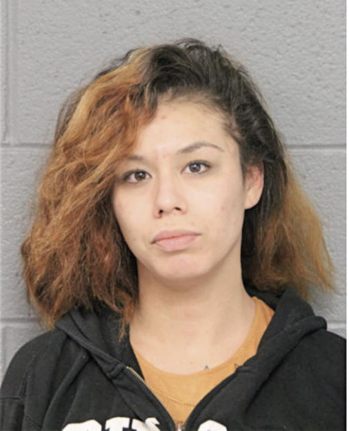 GABRIELA L COCKRIEL, Cook County, Illinois