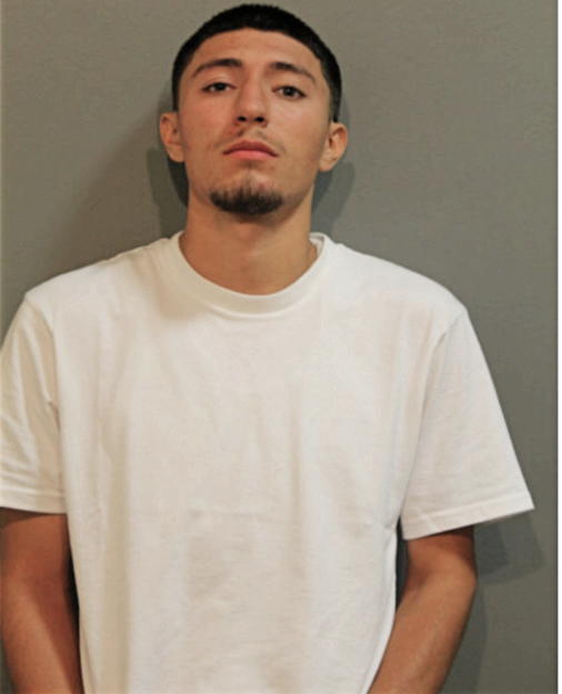 ORLANDO A DIAZ, Cook County, Illinois