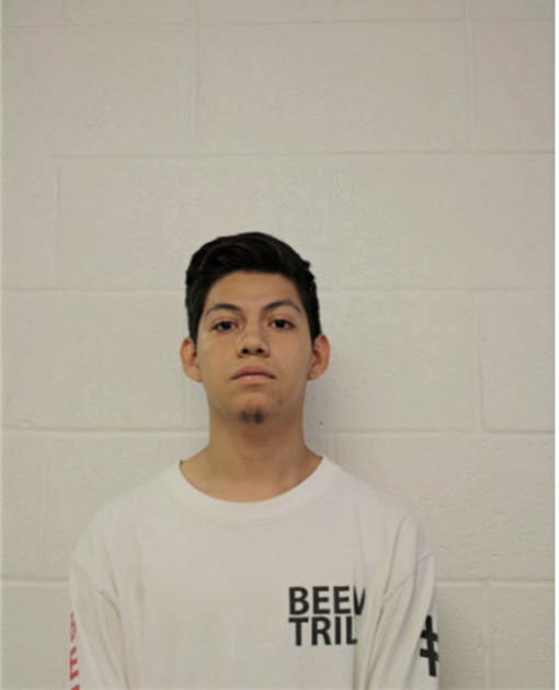 ALEXIS FERNANDEZ, Cook County, Illinois