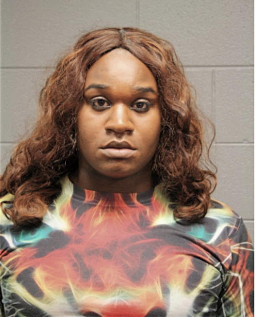 DEANDRE M GIPSON, Cook County, Illinois