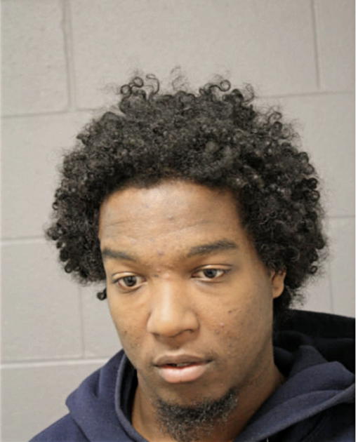 MICHAEL D HARDIMAN, Cook County, Illinois