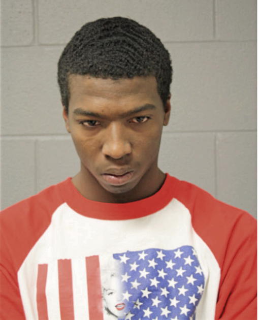 ANDRE D JOHNSON, Cook County, Illinois