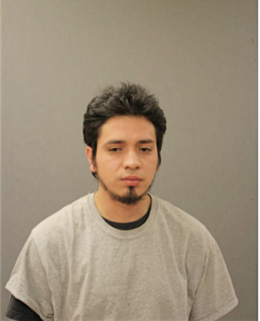 JULIO D LOPEZ, Cook County, Illinois