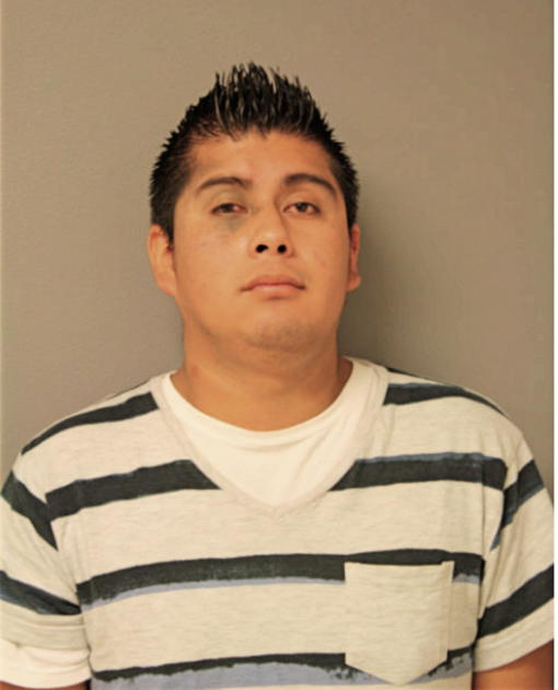 CARLOS A MALDONADO, Cook County, Illinois