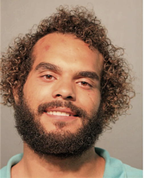 NIKO MILLER, Cook County, Illinois