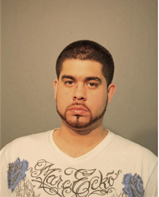 JUAN C MOYA, Cook County, Illinois