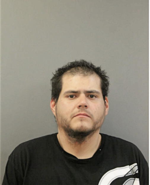 DANIEL PORTILLO, Cook County, Illinois