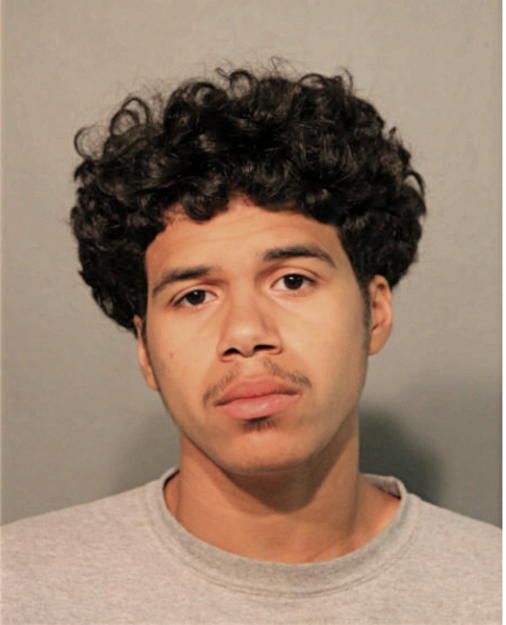 ALEXANDER SEBASTIAN REID, Cook County, Illinois