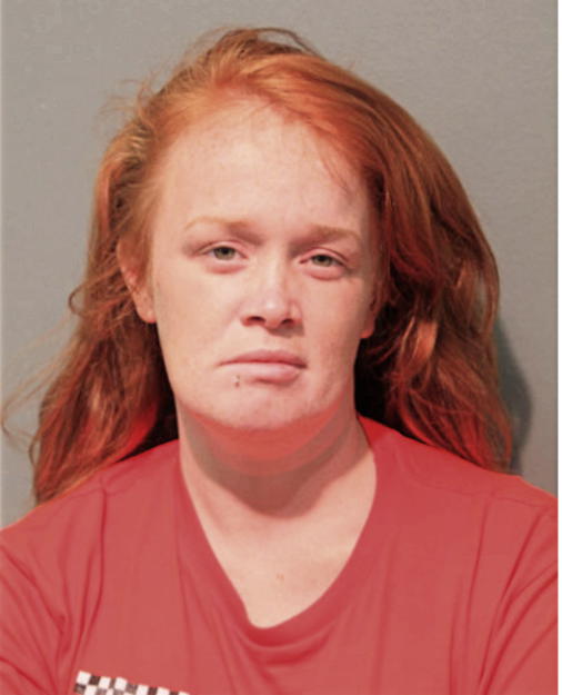 TIFFANY L SCHMID, Cook County, Illinois