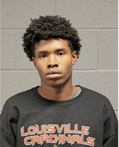 LAWRENCE D SELLERS, Cook County, Illinois